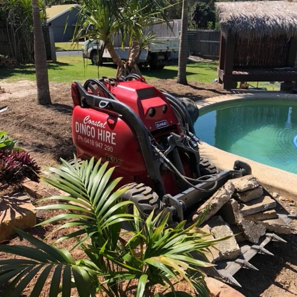 Coastal Dingo Hire - Digger